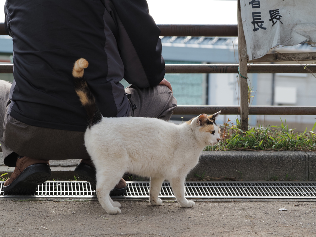 おじさんにスリスリ