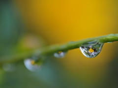 ほんと雨ばっかりヽ(`Д´)ﾉ