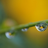 ほんと雨ばっかりヽ(`Д´)ﾉ