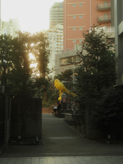 穏やか？