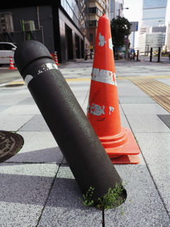 凄い力持ちの草