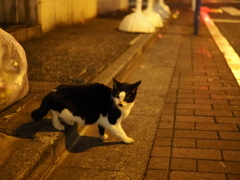 早朝の繁華街