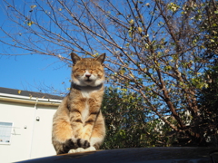 うとうと