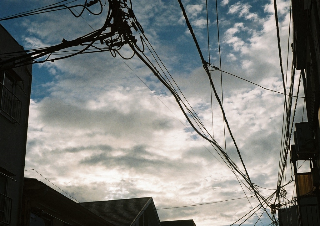装填したら撮りがち(フィルム)