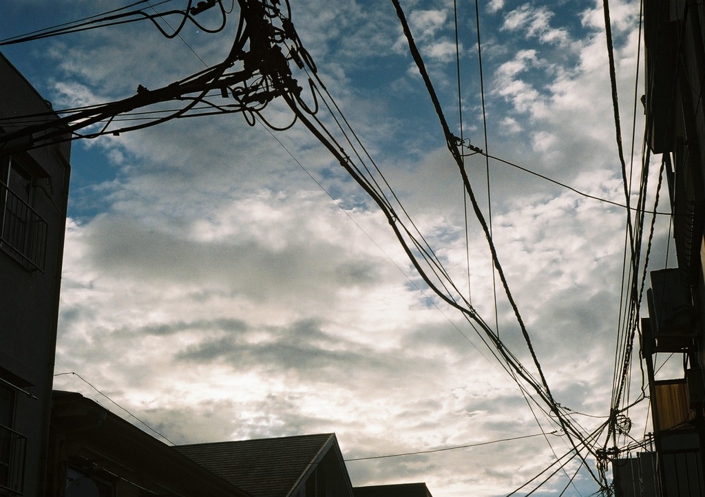 装填したら撮りがち(フィルム)