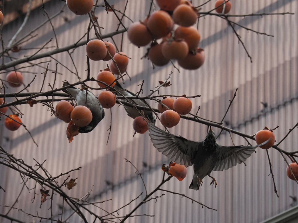 飲み屋街の一角、その1