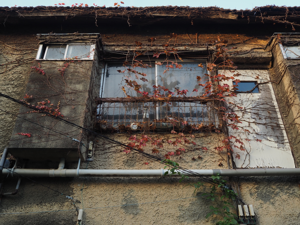 トマソン物件と紅葉