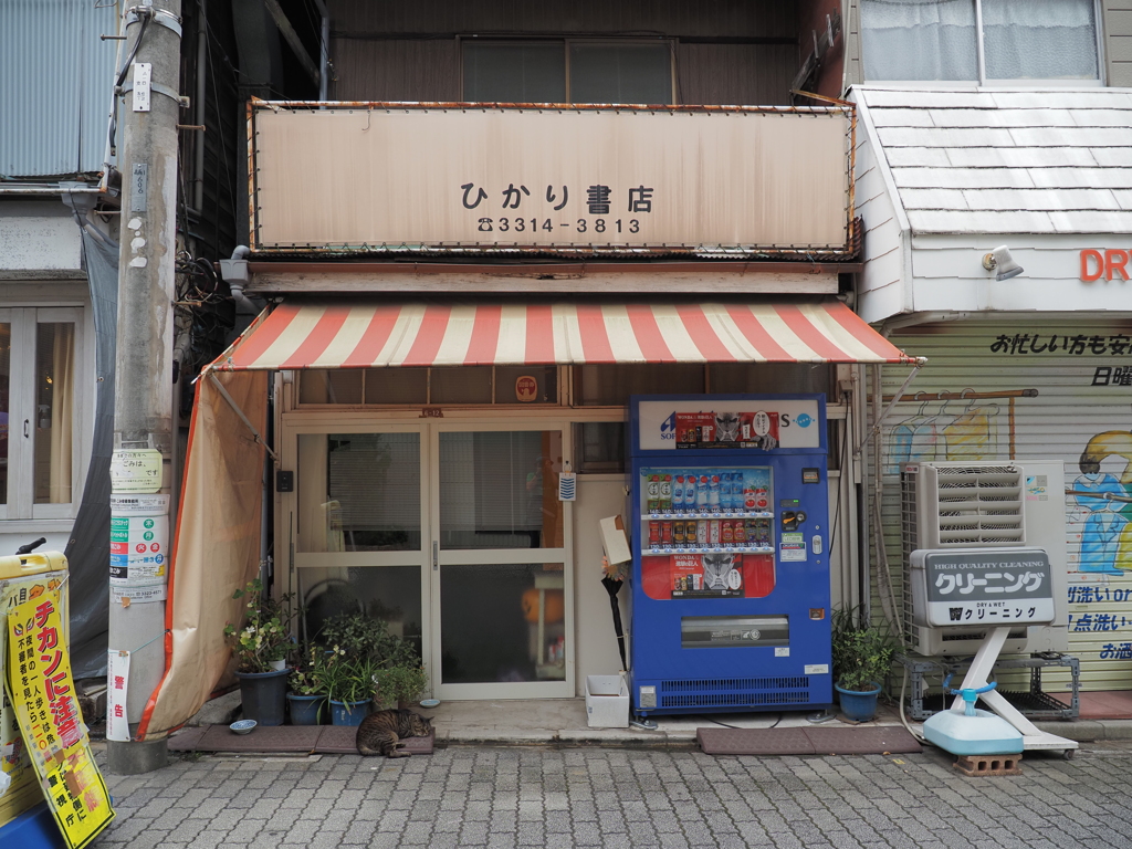 シマちゃんを探せ
