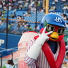 これもツバメ