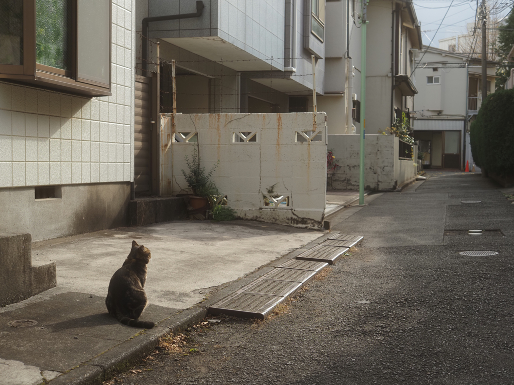 何を見てる？