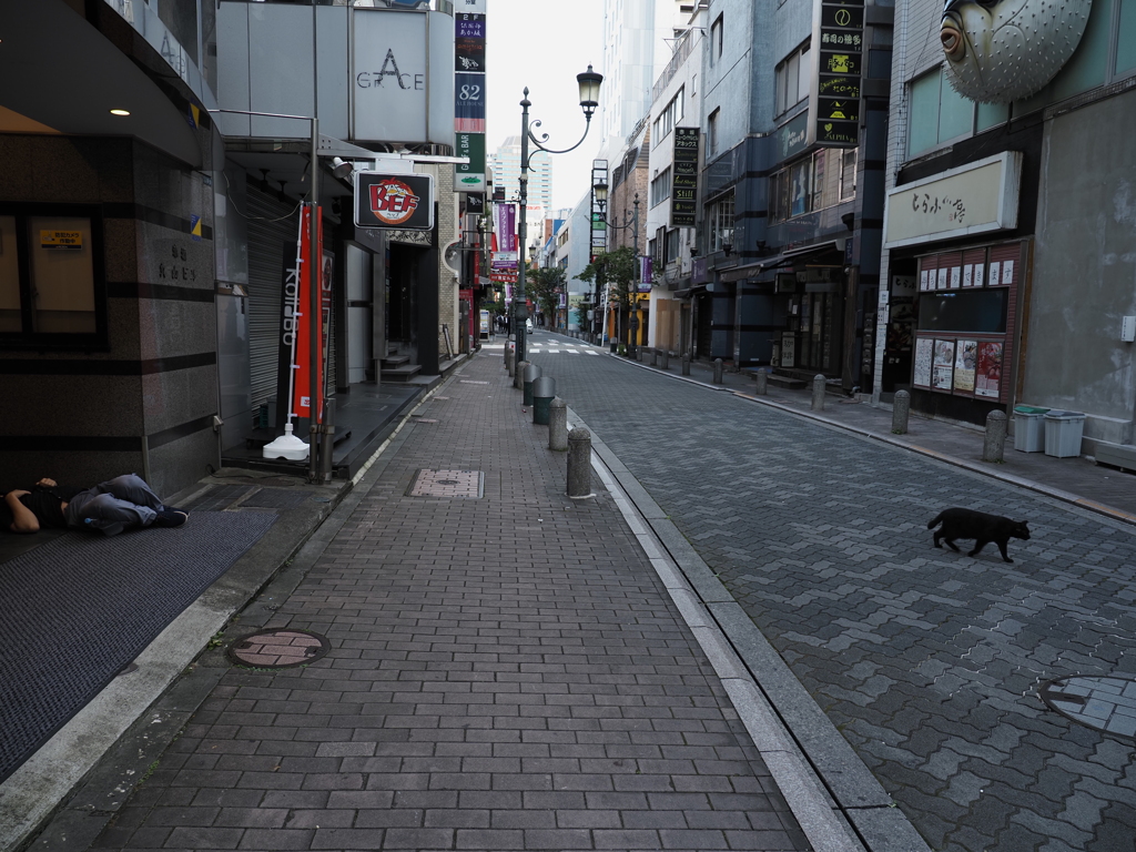 それぞれの朝（カラーver.）