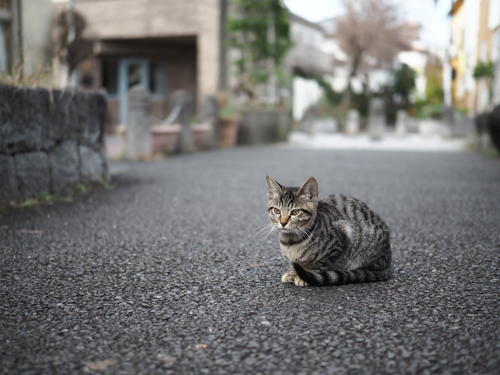 縮こまる