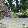 ちゃぶ台とおっさん