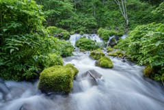 京極の名水