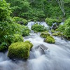 京極の名水