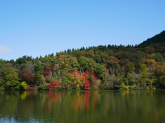 大山　大野池