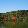 大山　大野池