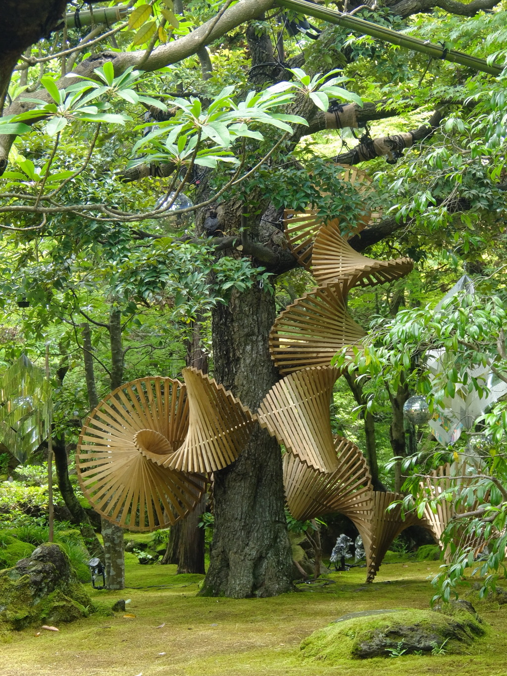 ツリーハウスではありません