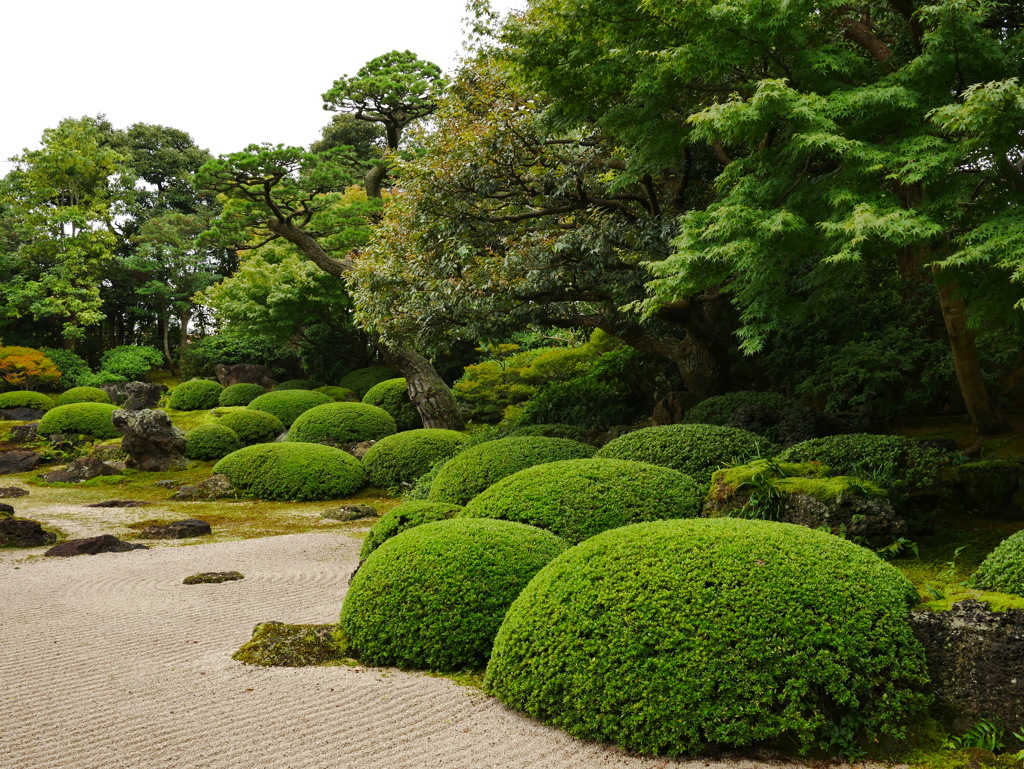 Japanese garden