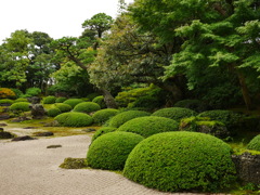 Japanese garden