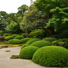 Japanese garden