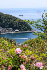 漁港の春