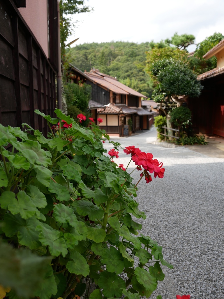 散歩道