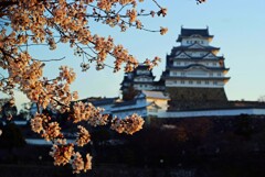 朝日に照らされて　壱