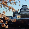 朝日に照らされて　壱