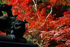 八葉寺紅葉　弐