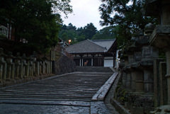 早朝の東大寺に鹿
