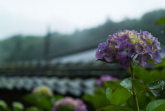雨の山寺　壱