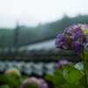 雨の山寺　壱