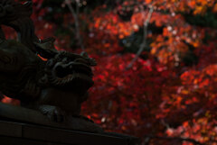 山寺の秋①