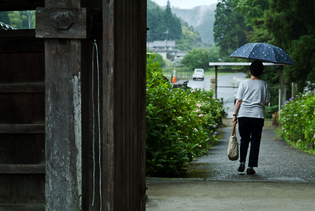 雨の山寺　弐