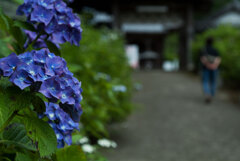 ひっそり山寺　四