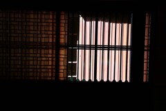 旧宅にて　六