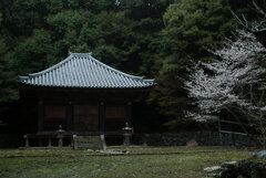 山寺の春　弐