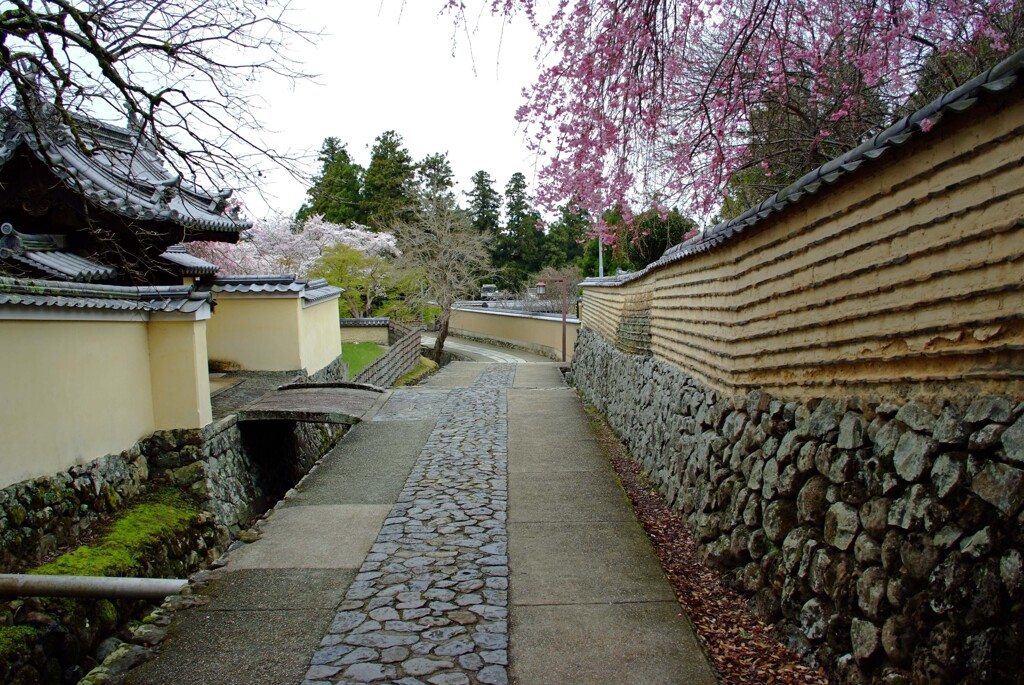 奈良寸景　参
