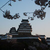夜明けの姫路城・桜