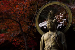 山寺の秋③