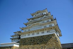 下から見上げる