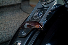 Harley-Davidson　①