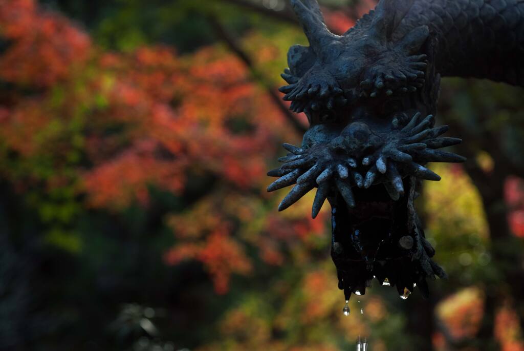 山寺の秋⑤