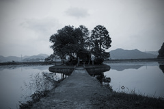 池に浮かぶ神社