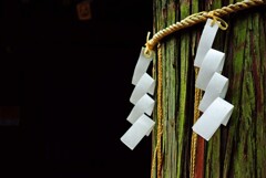 雨の神社　弐