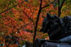 山寺の秋②