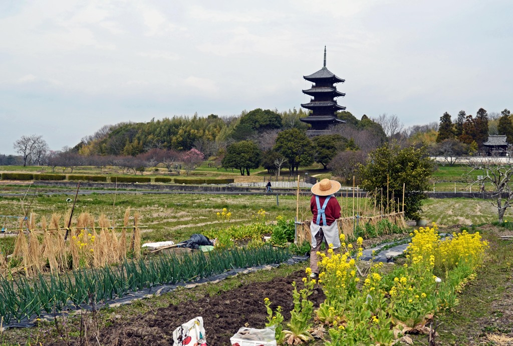 備前国分寺の春