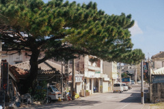 存在感。