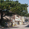 存在感。